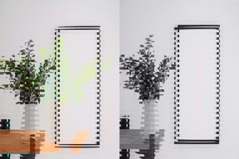 Minimalist Living Trend Gains Followers Looking to Declutter Their Home Life